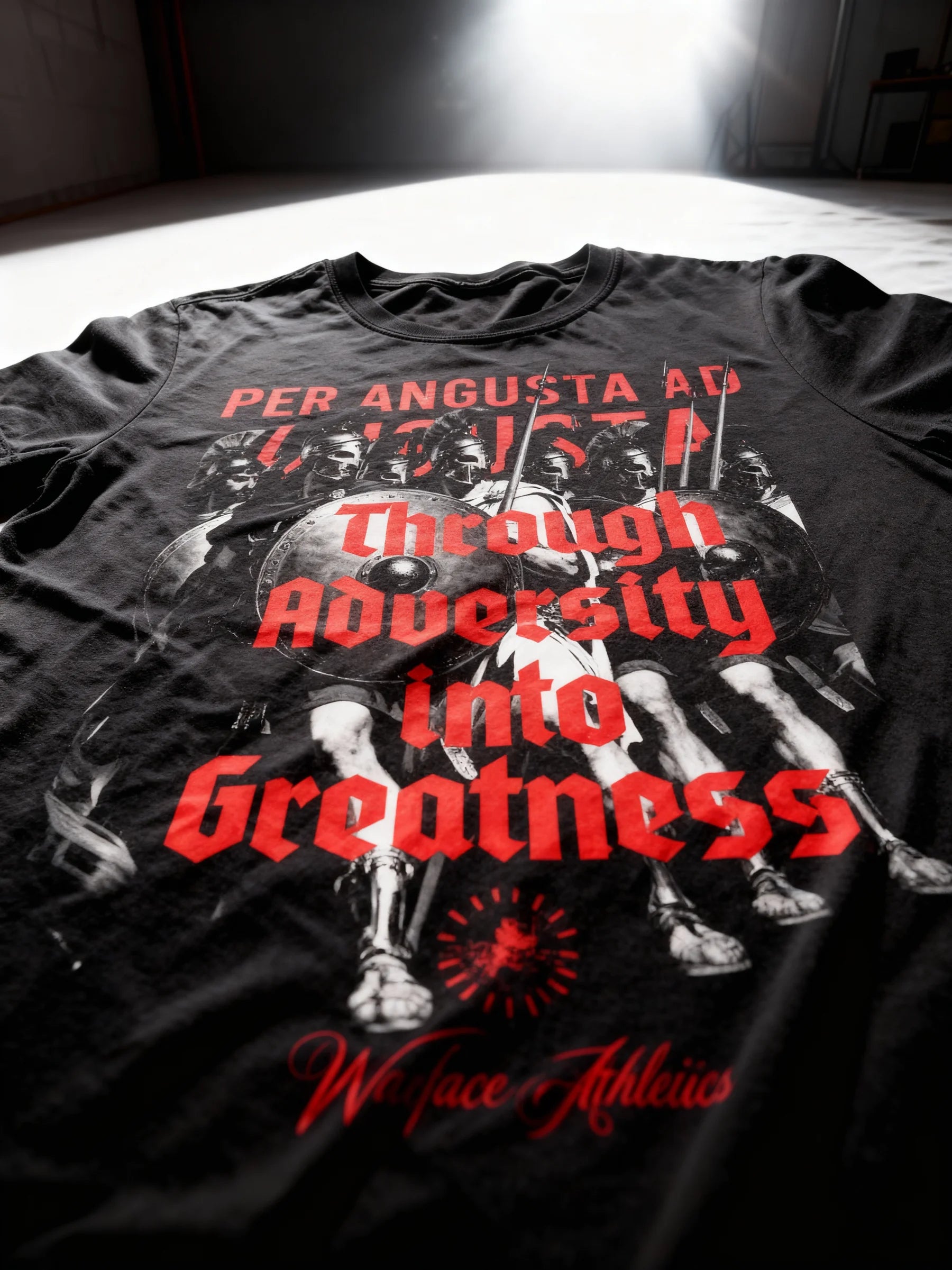 Graphic tees – Spartan phalanx Through Adversity Into Greatness heavyweight tee front print – Warface Athletics