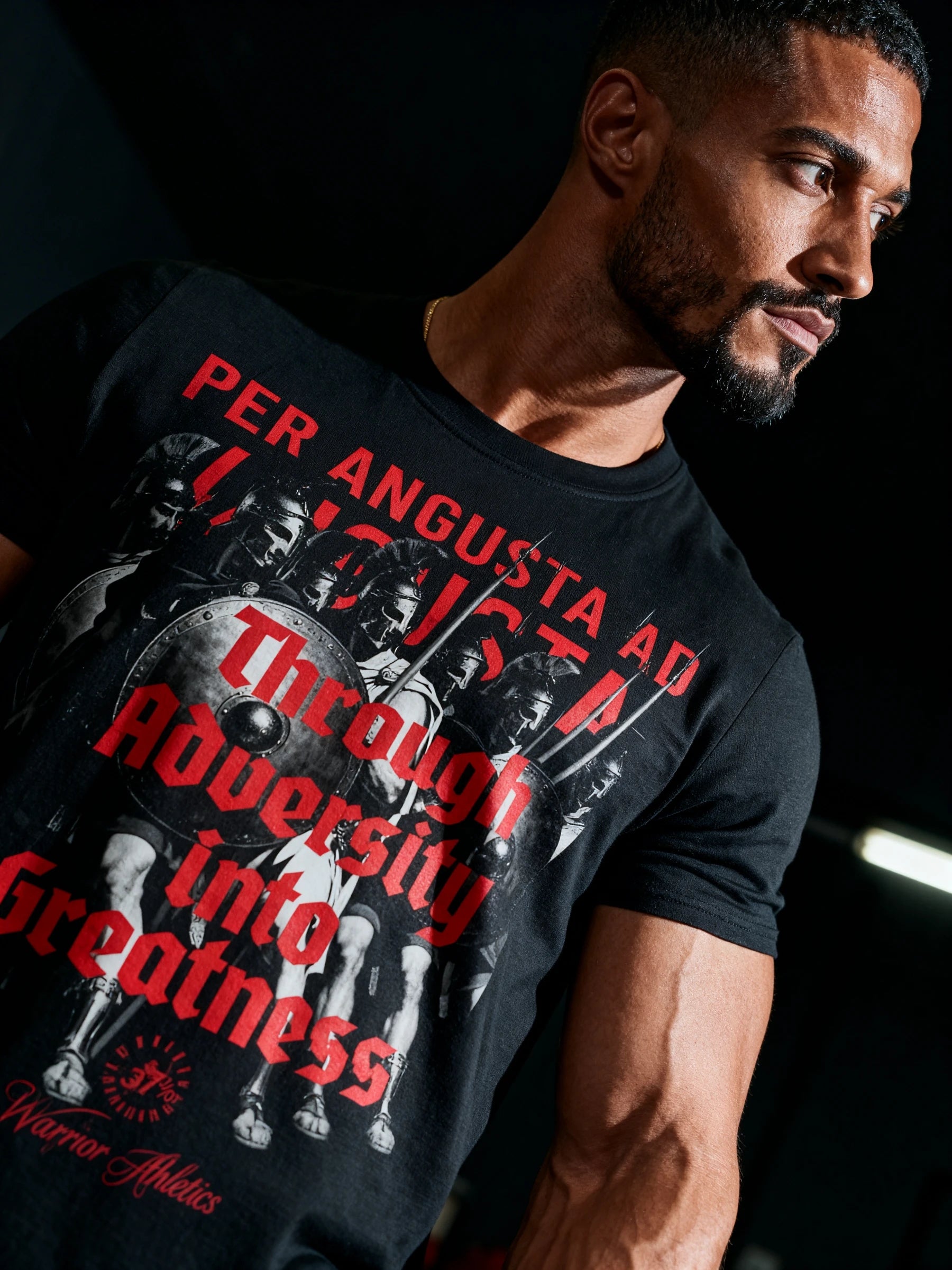 Mens graphic tee – Spartan phalanx Latin quote heavyweight gym tee side profile dark shot – Warface Athletics