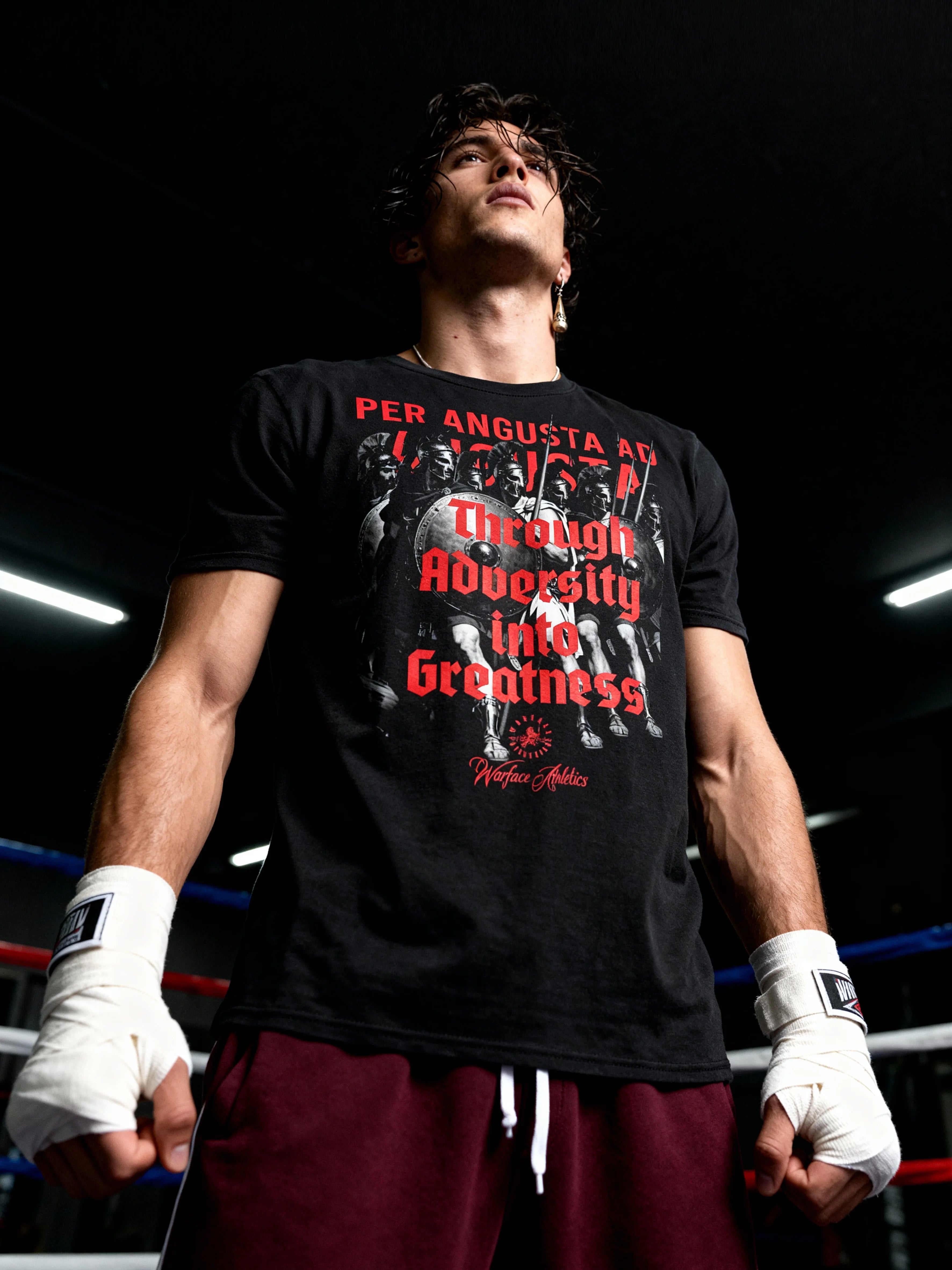 Men's graphic tee with Spartan phalanx warriors and Latin stoic quote — heavyweight gym shirt