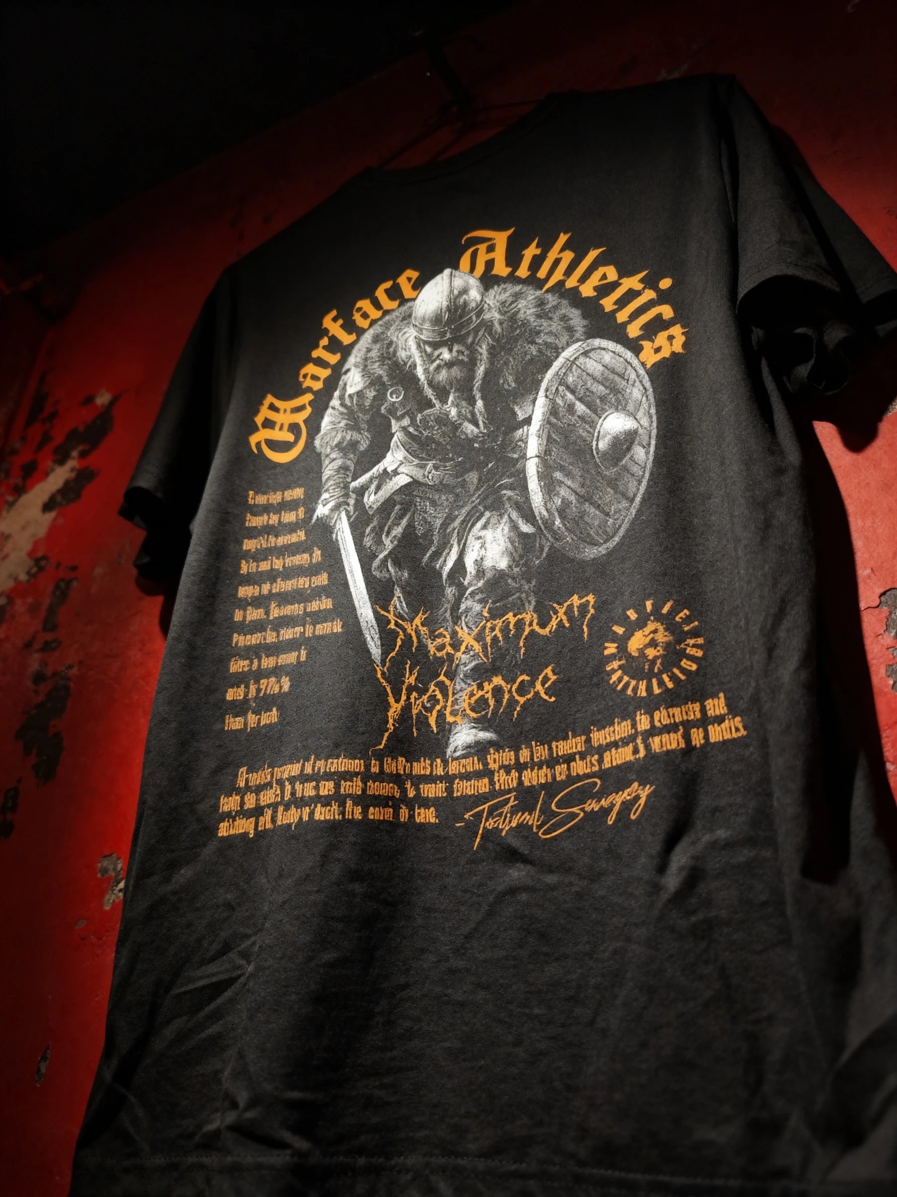 Viking Norse T-Shirt Flat Lay — Men's Graphic Tees for Guys with Stoic Motivational Quote by Warface Athletics